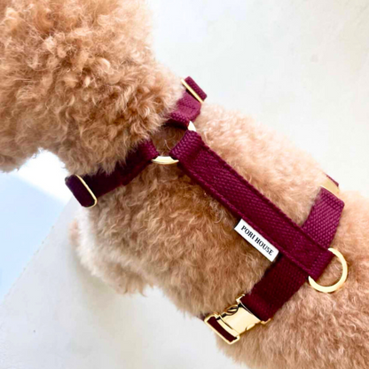 palette harness〈アース〉