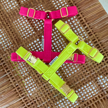palette harness〈ネオン〉
