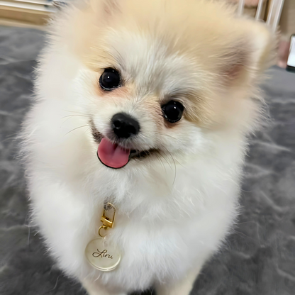 omamori charm – パターン〈おはな〉