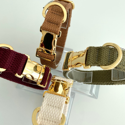 palette collar〈アース〉