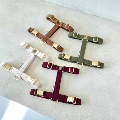 palette harness〈アース〉