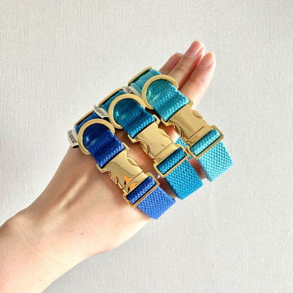 palette collar〈サマー〉