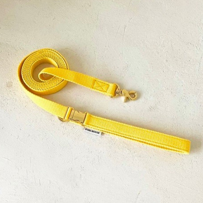 palette leash〈ウォーム〉