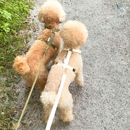 palette harness〈アース〉