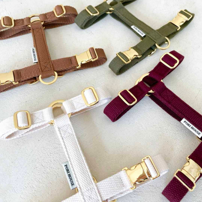 palette harness〈アース〉