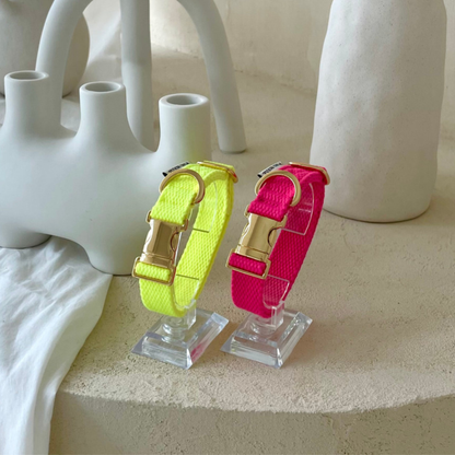 palette collar〈ネオン〉