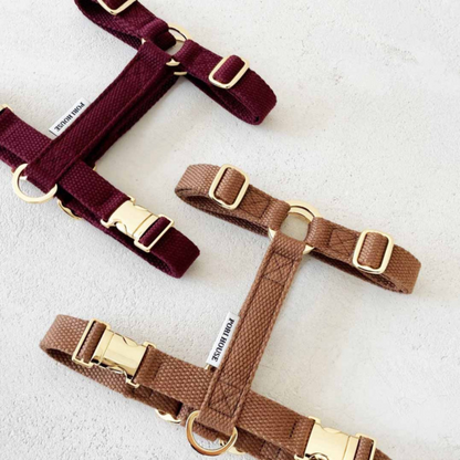 palette harness〈アース〉