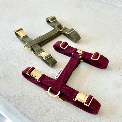 palette harness〈アース〉