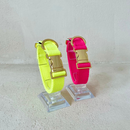 palette collar〈ネオン〉