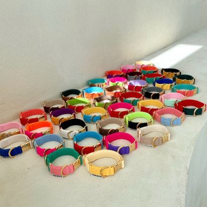 palette collar〈ツートーンB〉