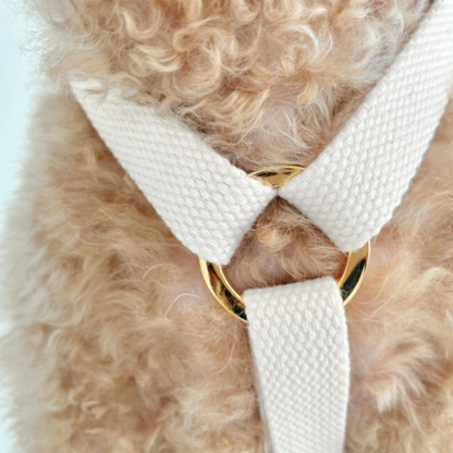 palette harness〈アース〉