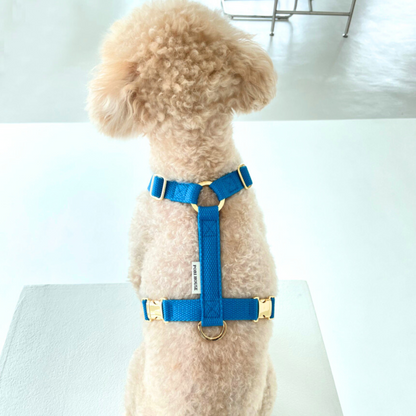 palette harness〈サマー〉