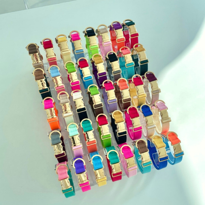 palette collar〈ツートーンB〉