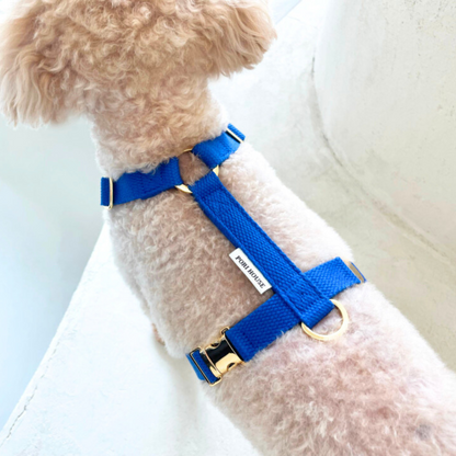 palette harness〈サマー〉