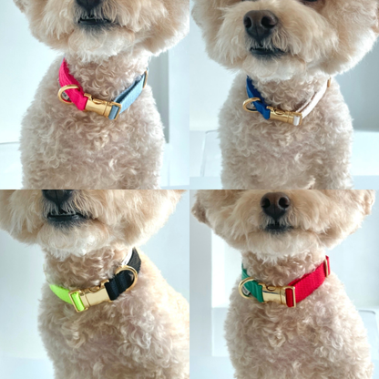 palette collar〈ツートーンA〉