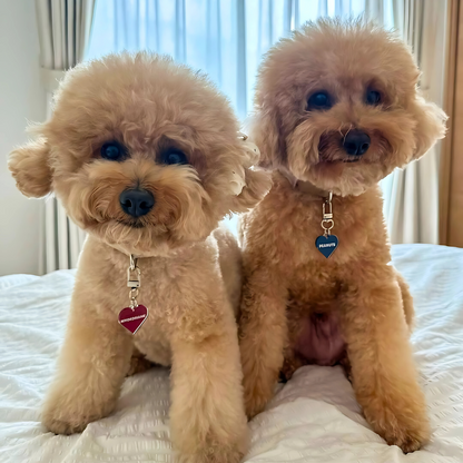 omamori charm – ハート〈ベーシックカラー〉