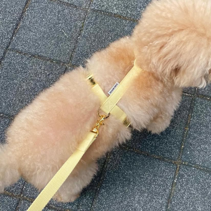 palette leash〈グリーン・ベーシック系〉