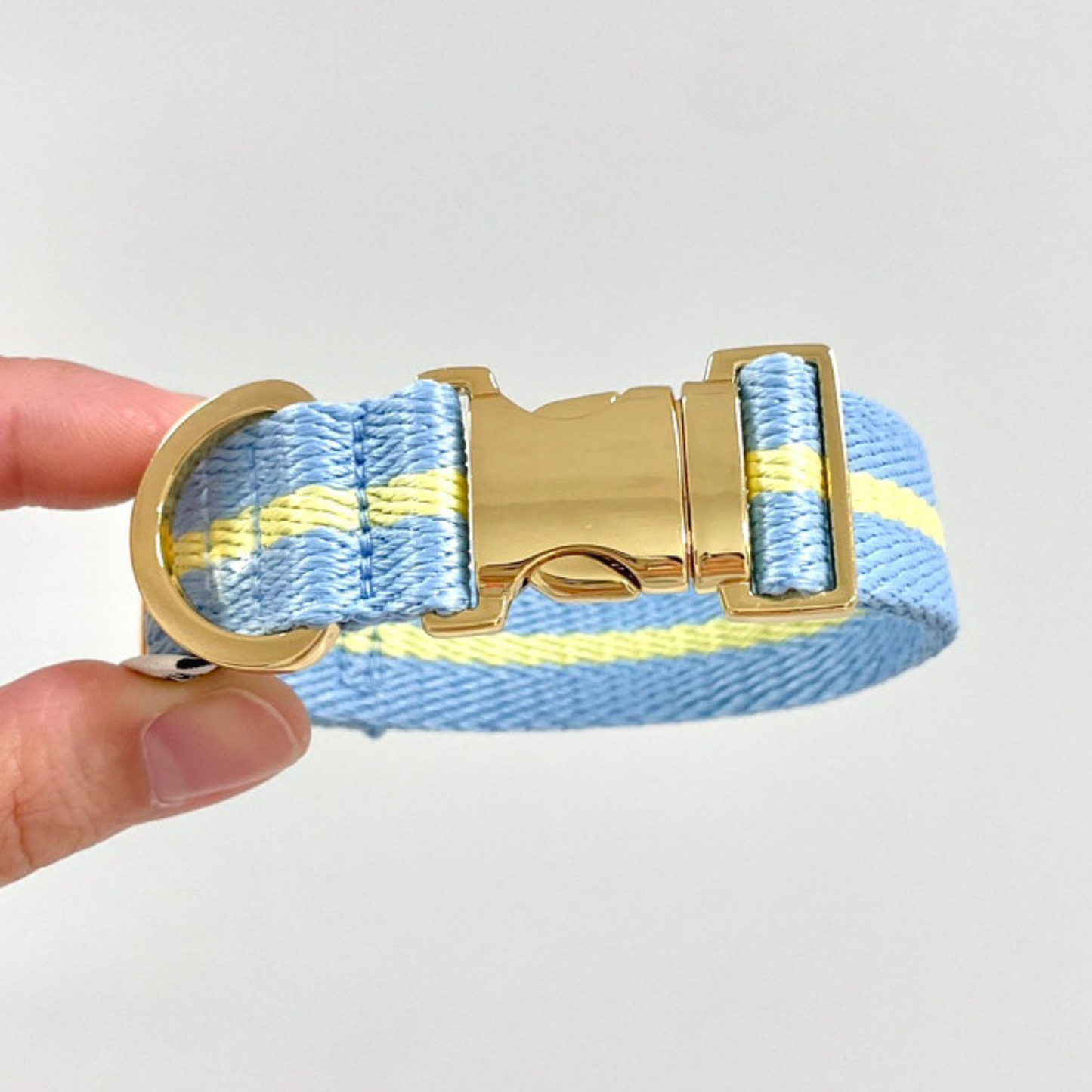 lollipop collar