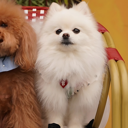 omamori charm – ハート〈ベーシックカラー〉