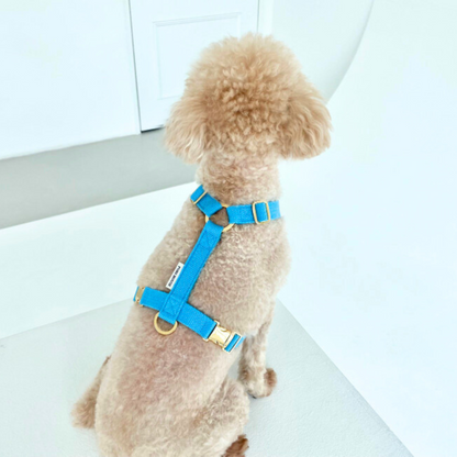 palette harness〈サマー〉