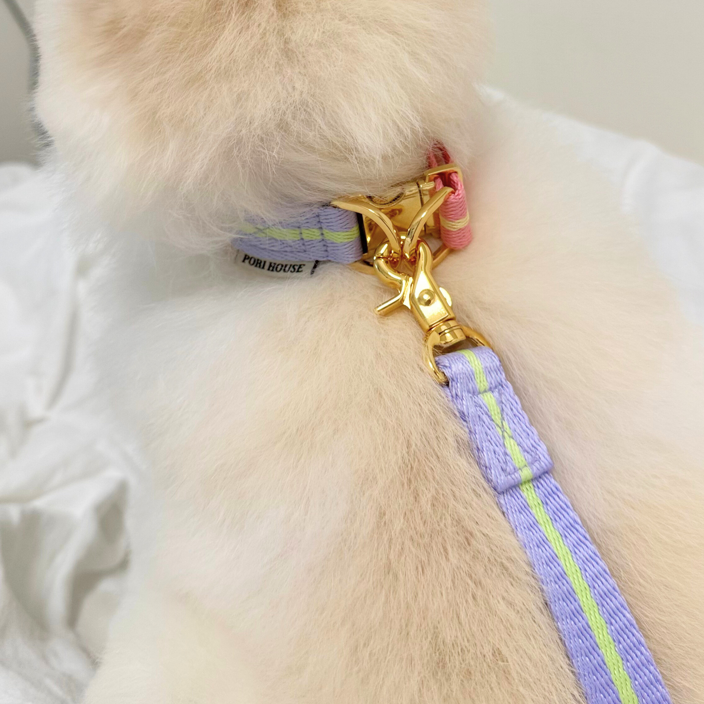 lollipop leash
