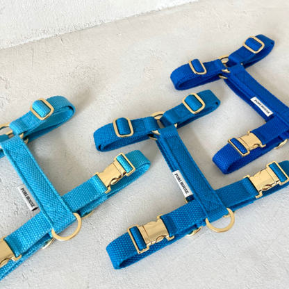 palette harness〈サマー〉