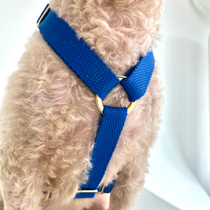 palette harness〈サマー〉