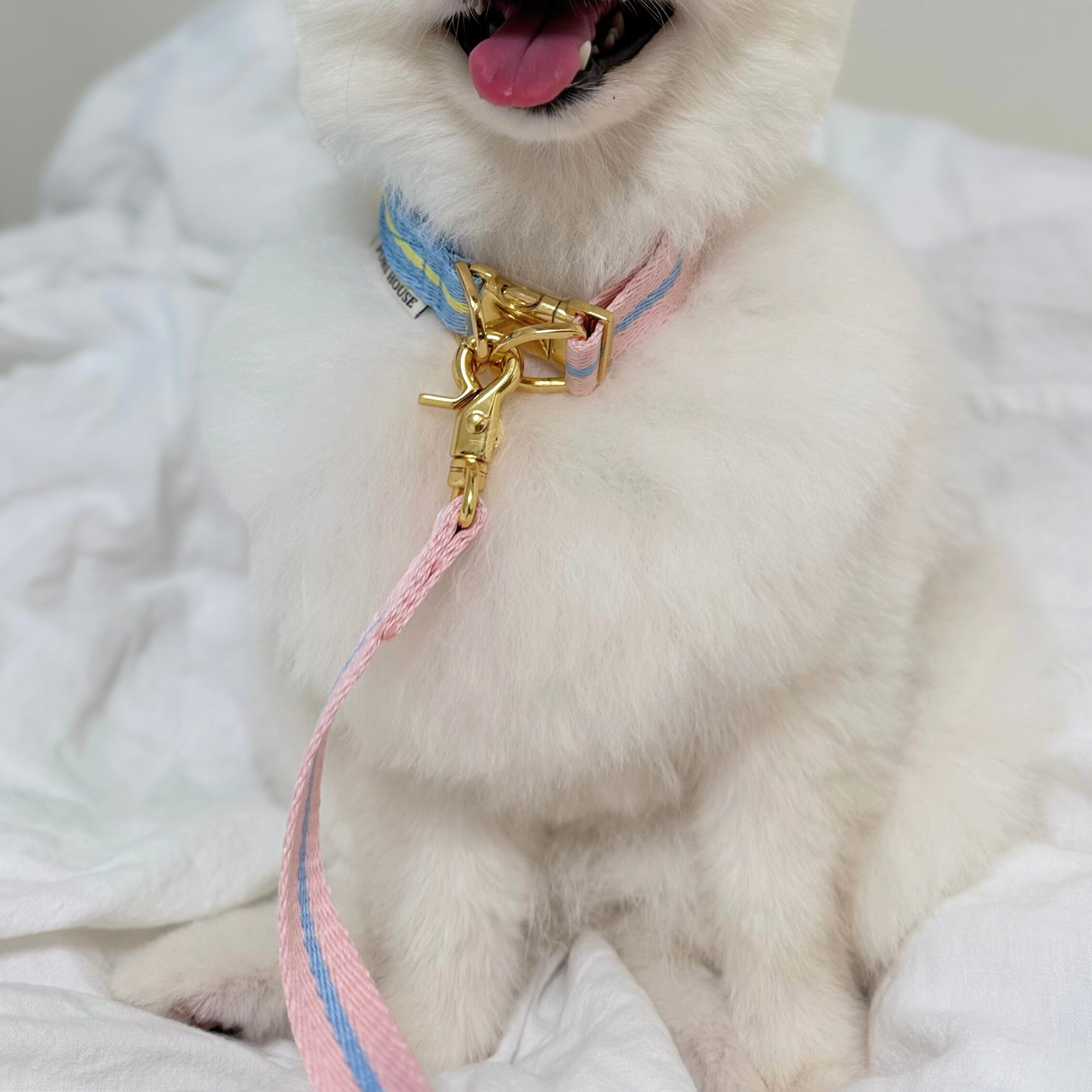 lollipop leash
