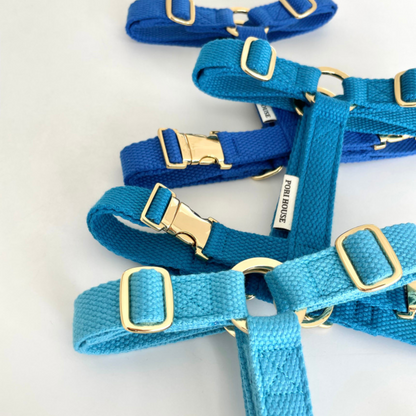 palette harness〈サマー〉