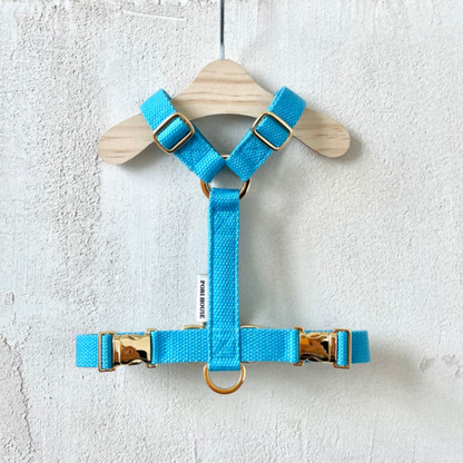 palette harness〈サマー〉