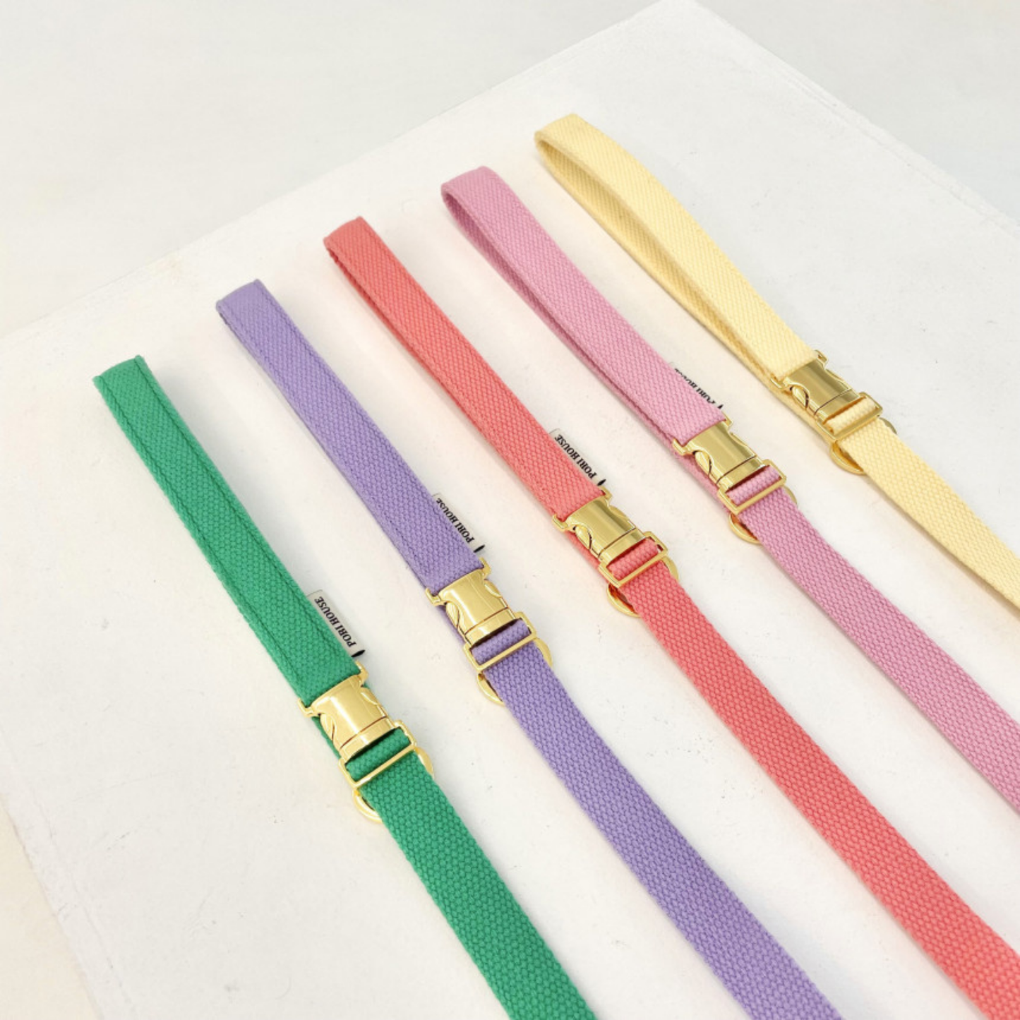 palette leash〈グリーン・ベーシック系〉