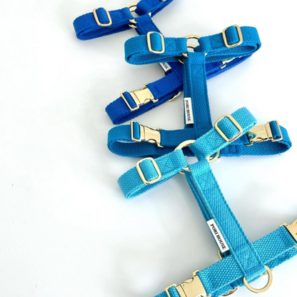 palette harness〈サマー〉