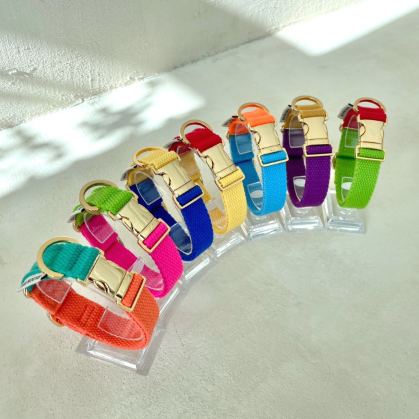 palette collar〈ツートーンA〉