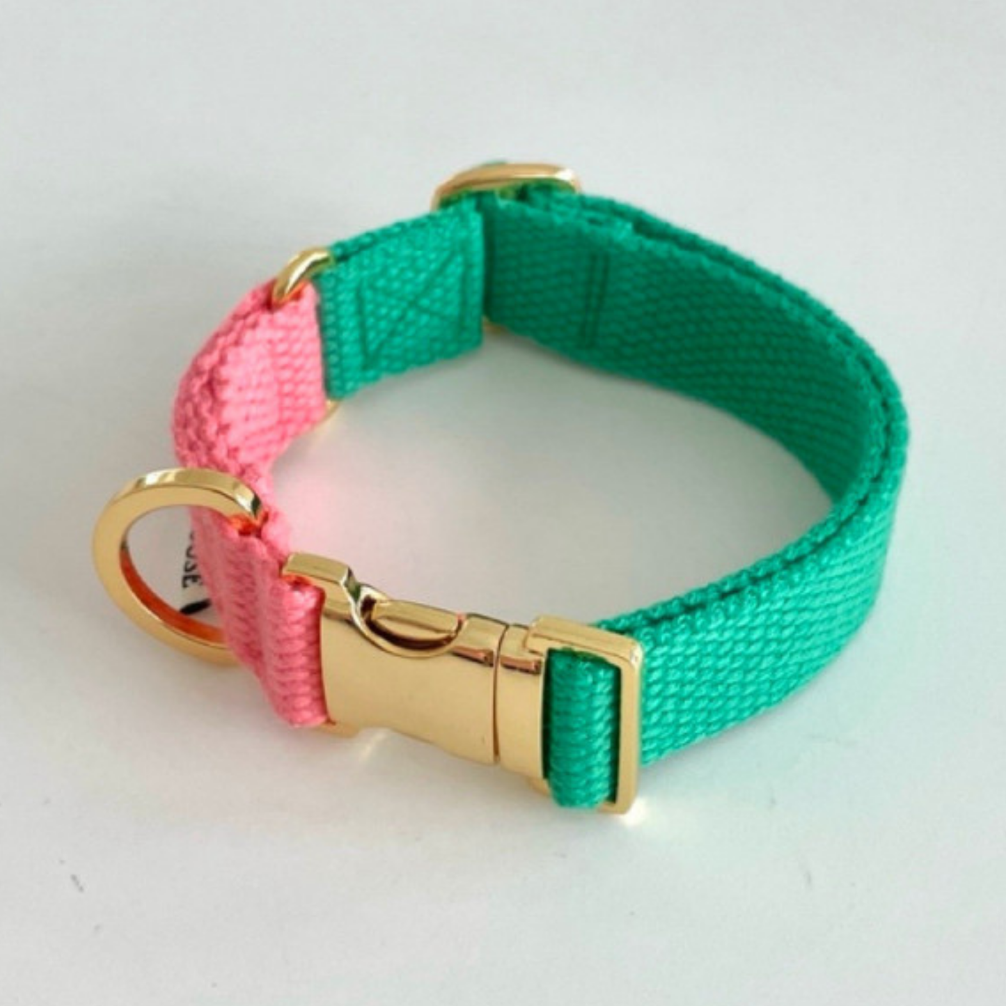 palette collar〈ツートーンA〉