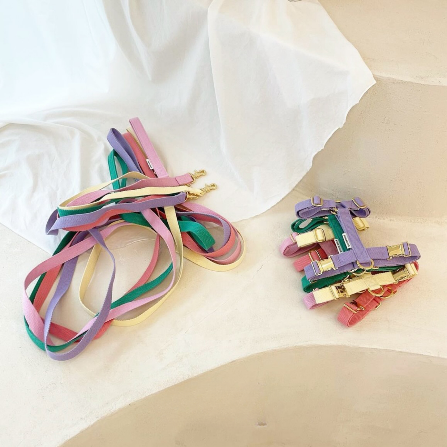 palette leash〈グリーン・ベーシック系〉