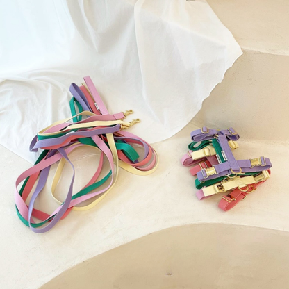 palette leash〈ブルー・パープル系〉