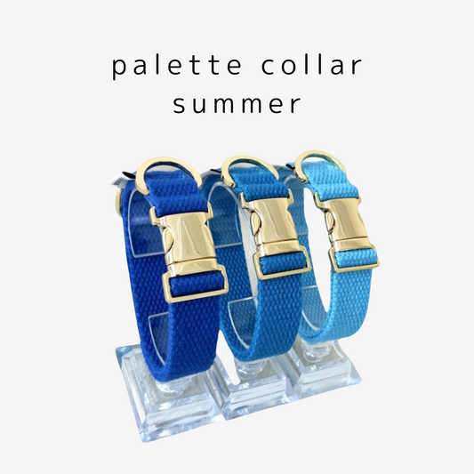 palette collar〈サマー〉