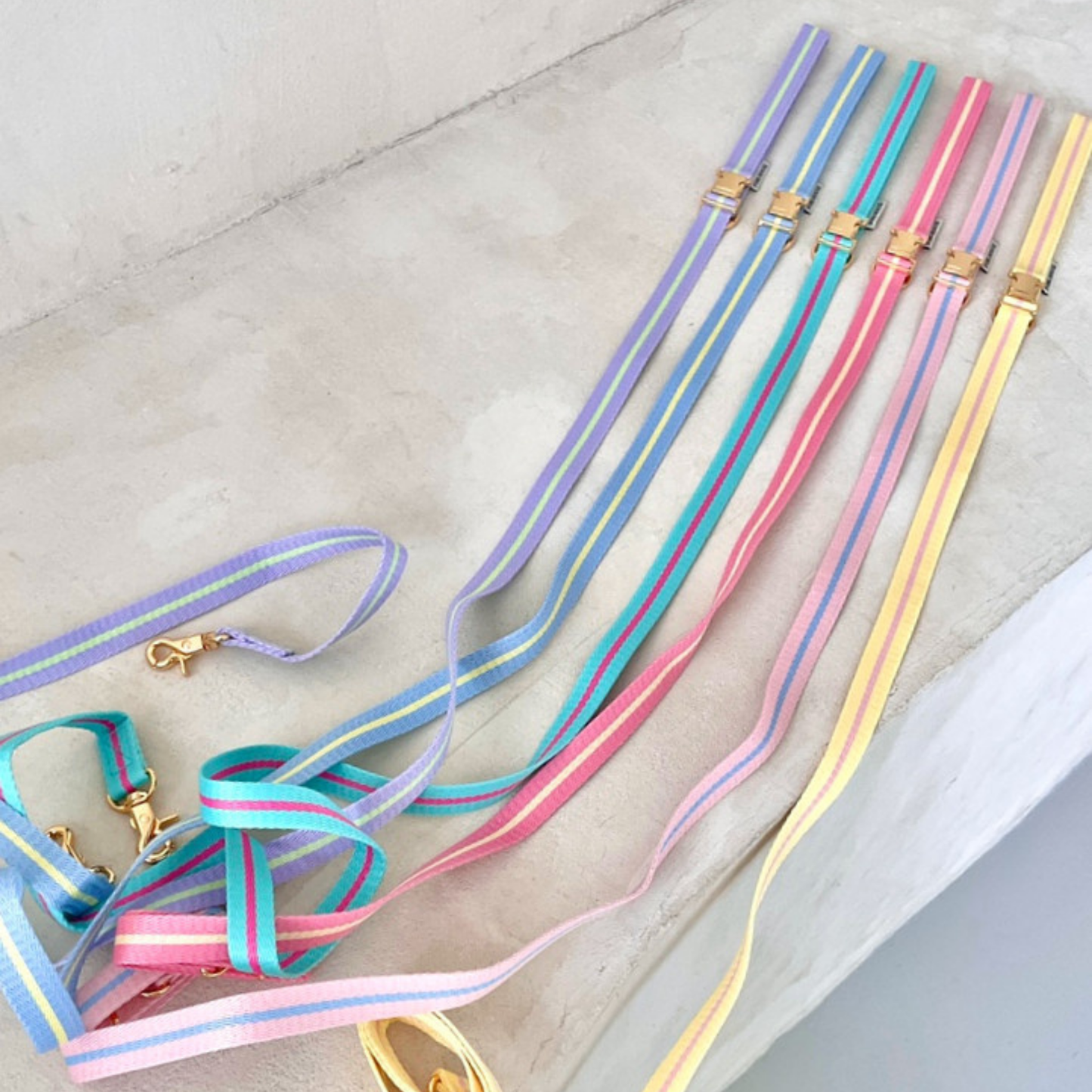 lollipop leash