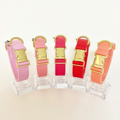 palette collar〈ソフト＆クリア〉