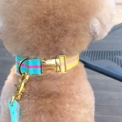 lollipop collar〈ツートーン〉