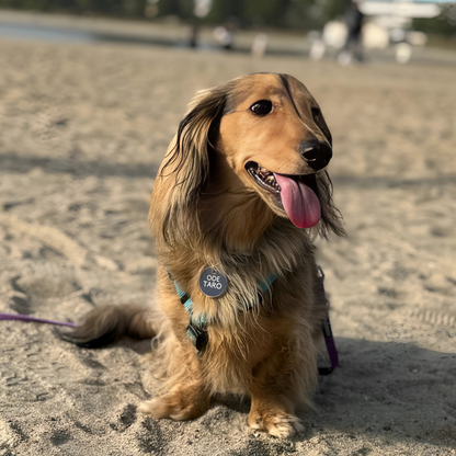 omamori charm – ラウンド〈ベーシックカラー〉