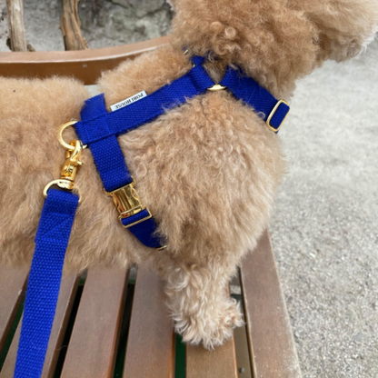 palette leash〈ブルー・パープル系〉