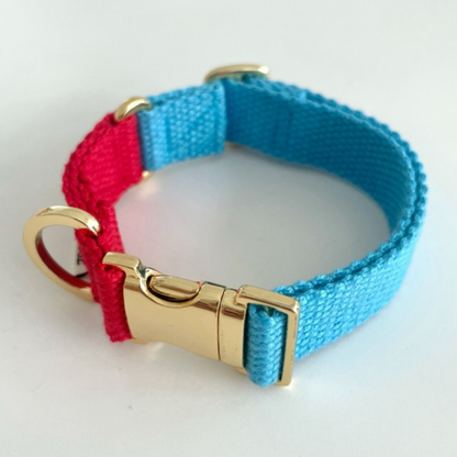 palette collar〈ツートーンA〉