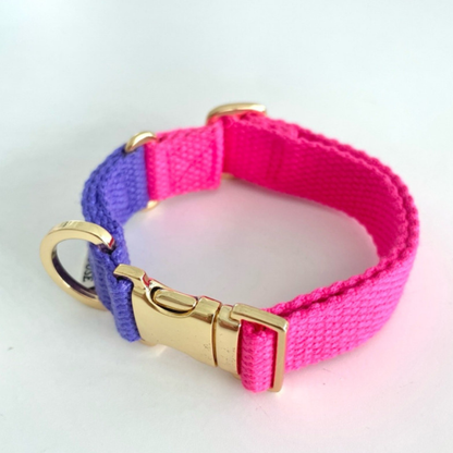 palette collar〈ツートーンA〉