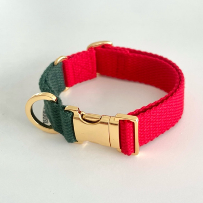 palette collar〈ツートーンA〉