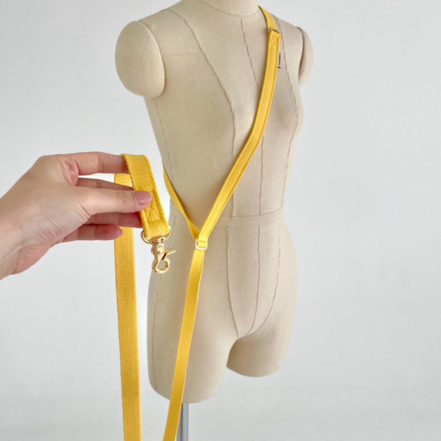 palette leash〈グリーン・ベーシック系〉