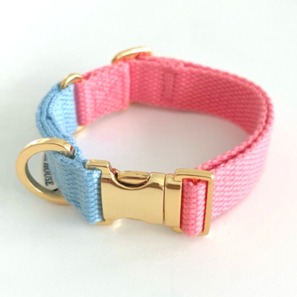 palette collar〈ツートーンA〉