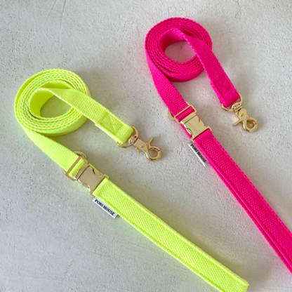 palette leash〈ネオン〉