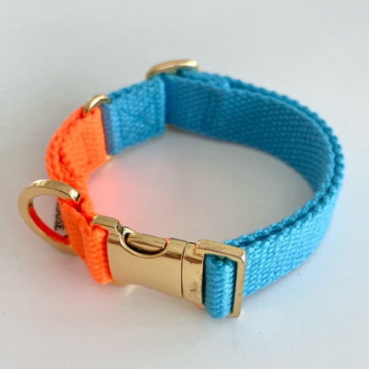 palette collar〈ツートーンA〉