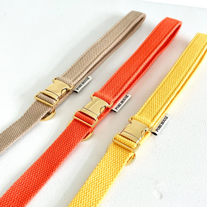 palette leash〈ウォーム〉